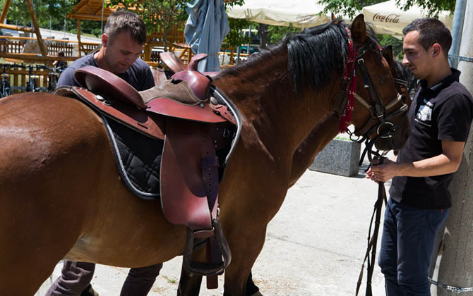 Hotel Montanaro Horse riding